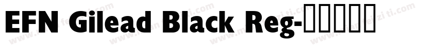 EFN Gilead Black Reg字体转换